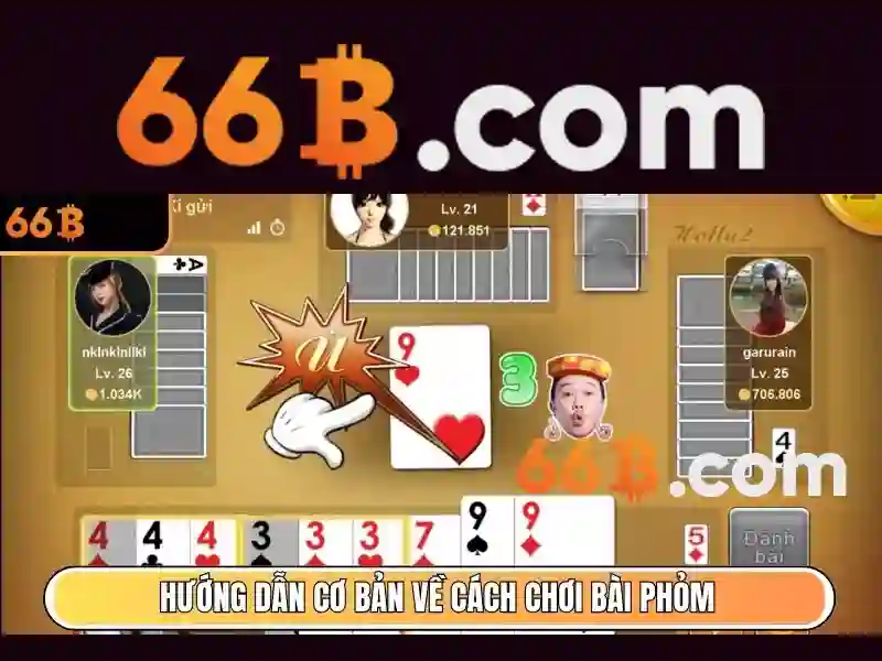 Khía cạnh thực tiễn và cách áp dụng 66b\n