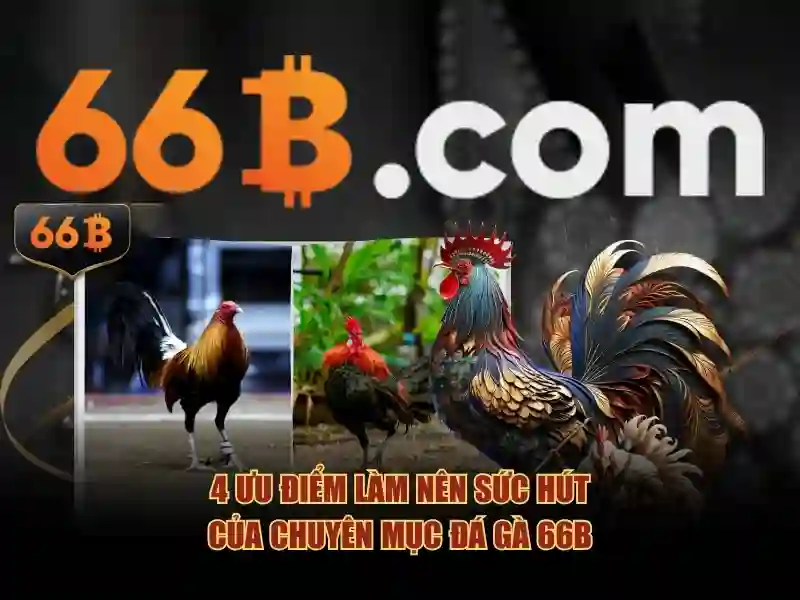 66b nguyễn si sách – Nền tảng sáng tạo và trải nghiệm số