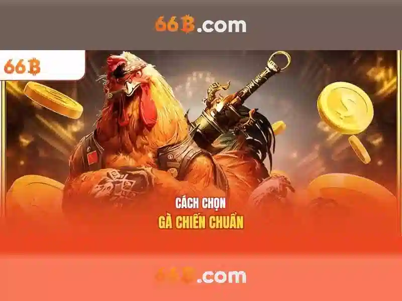 66b cách mạng tháng 8 phường 6 quận 3 – câu chuyện