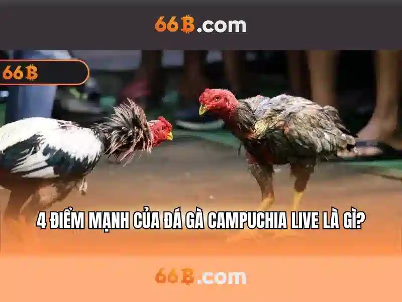 Khả năng và ứng dụng của 66B