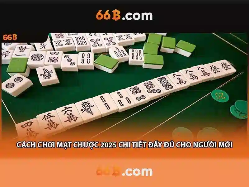 66b và những gì bạn cần biết