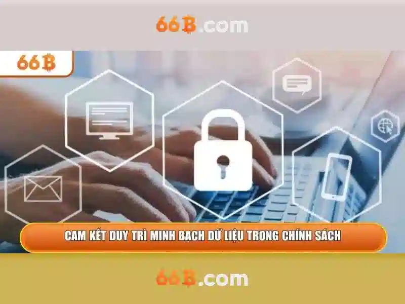 66B là gì?
