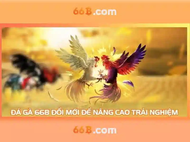 Ứng dụng thực tế