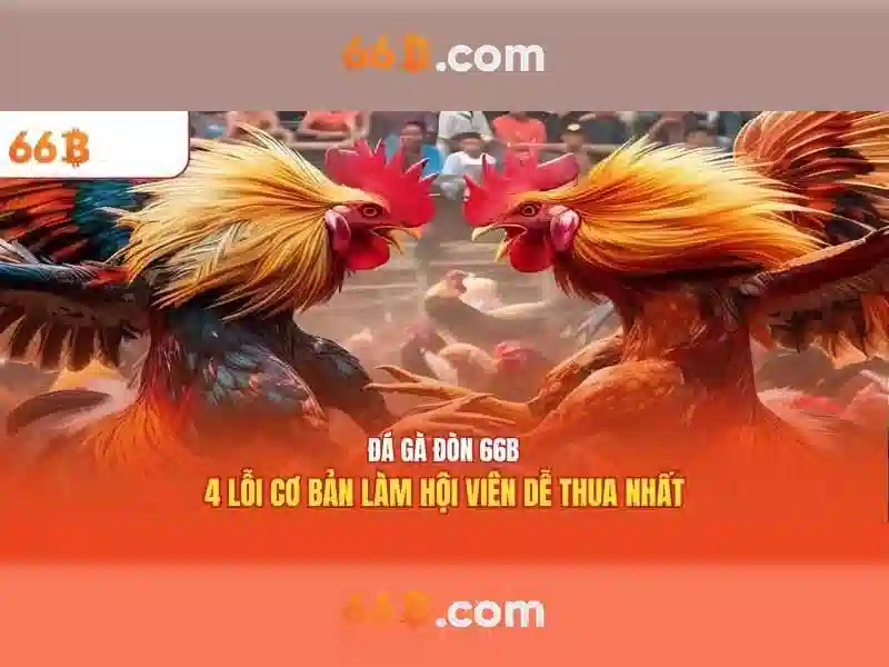 Kích thước và kiến trúc của 66B