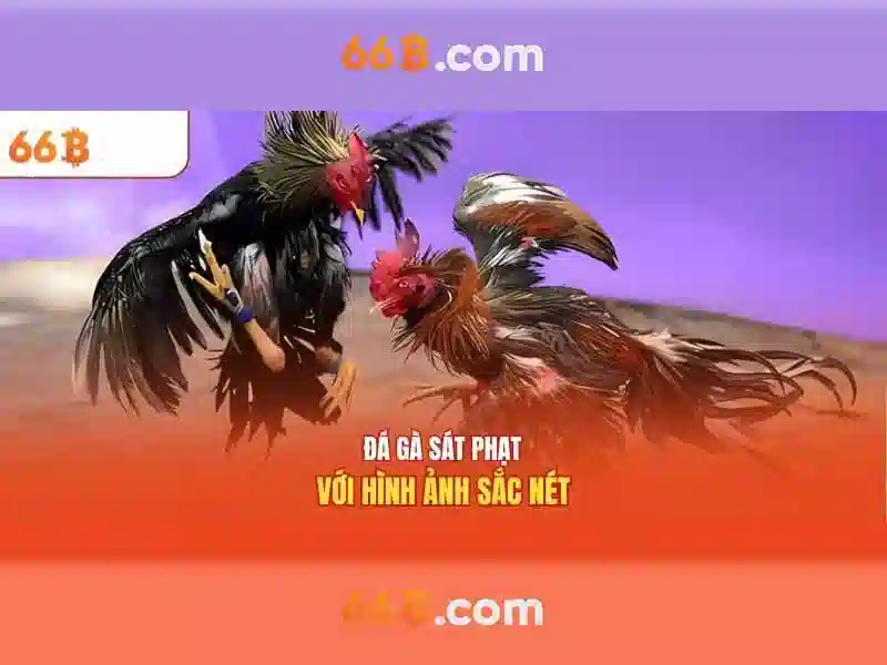 Phạm vi ứng dụng của 66B