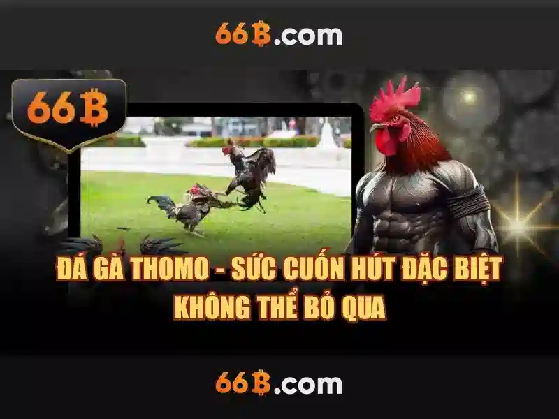 66b kw – chủ đề tổng quan và giá trị cốt lõi