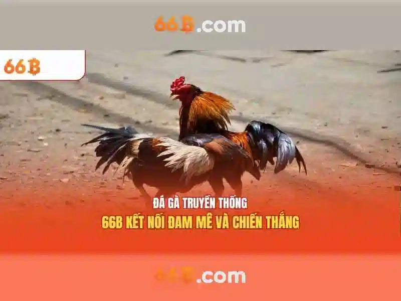 66b đặng tiến đông – Định hình xu hướng trải nghiệm ngành