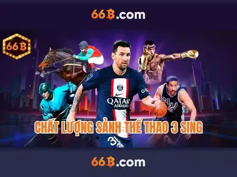 sources shein shein 66b may: ket noi thuong hieu trai nghiem