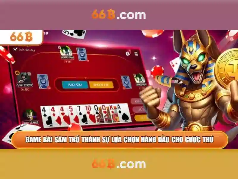 Đặc điểm và chức năng của 66B