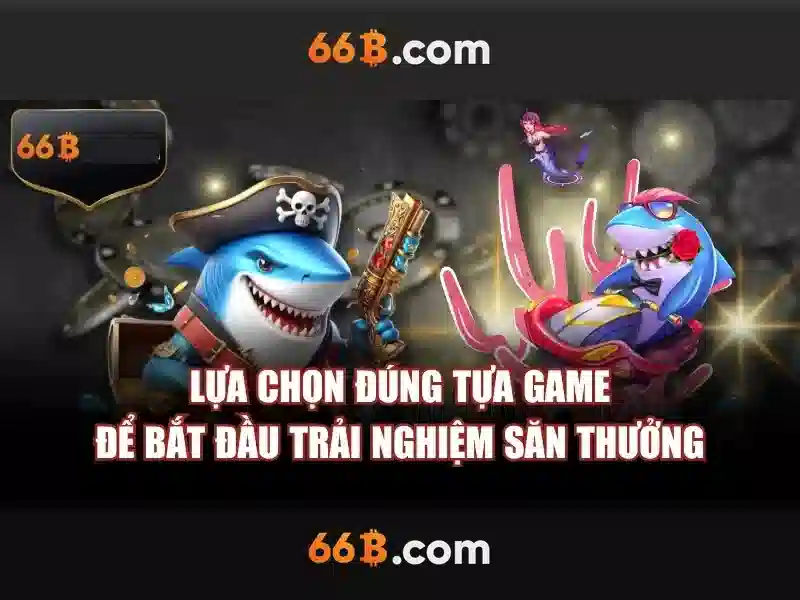 Cấu trúc và kích thước của 66B