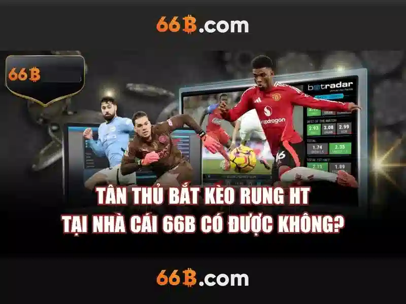 Kiến trúc và quy mô