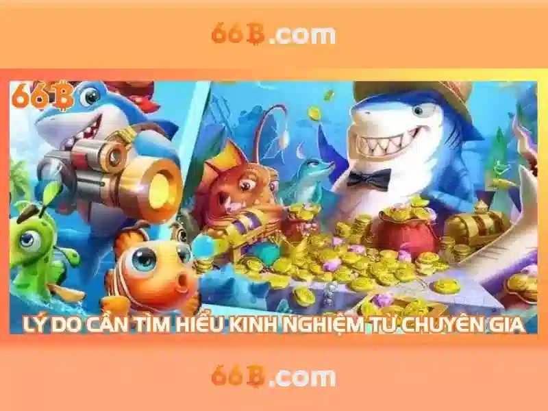 66B là gì?