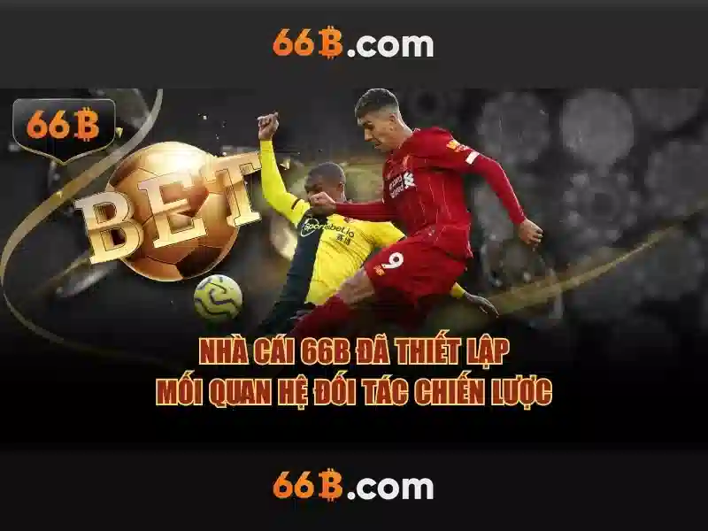 Kết luận