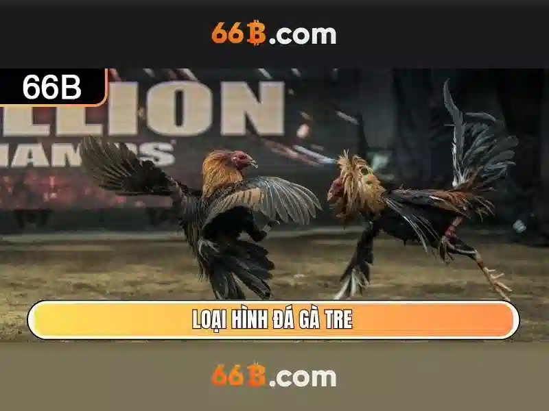 So sánh 66b với các chuẩn và mô hình