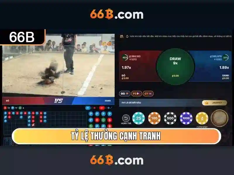 Giới thiệu về 66B\n
