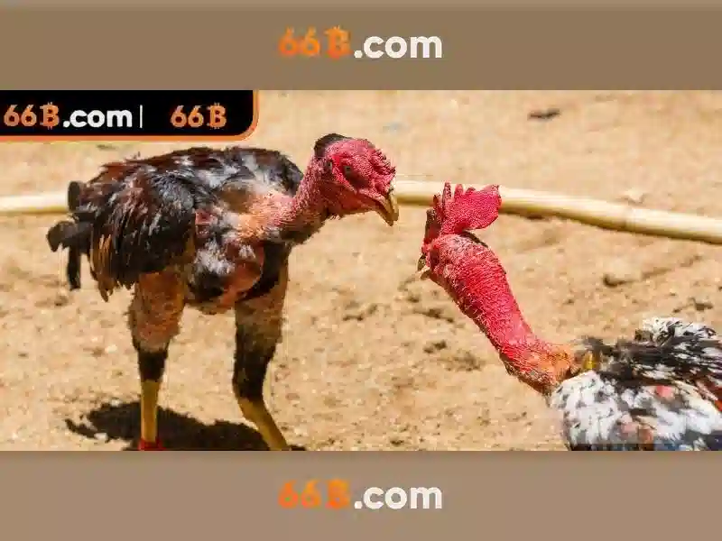 Ứng dụng của 66b trong các ngành công nghiệp