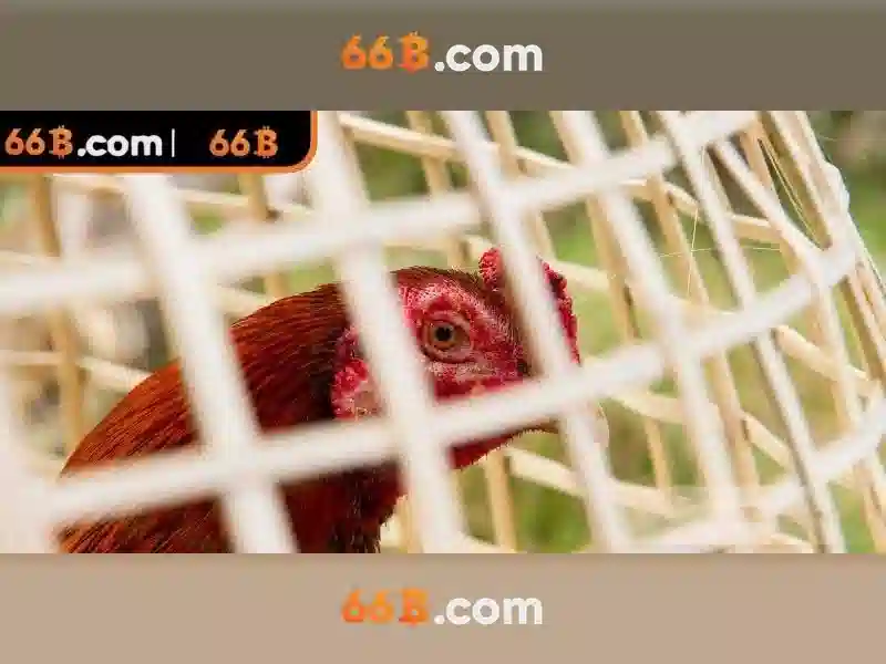 Cấu trúc và huấn luyện