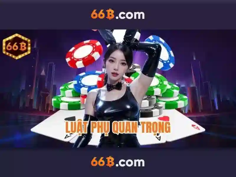 66b là gì\n
