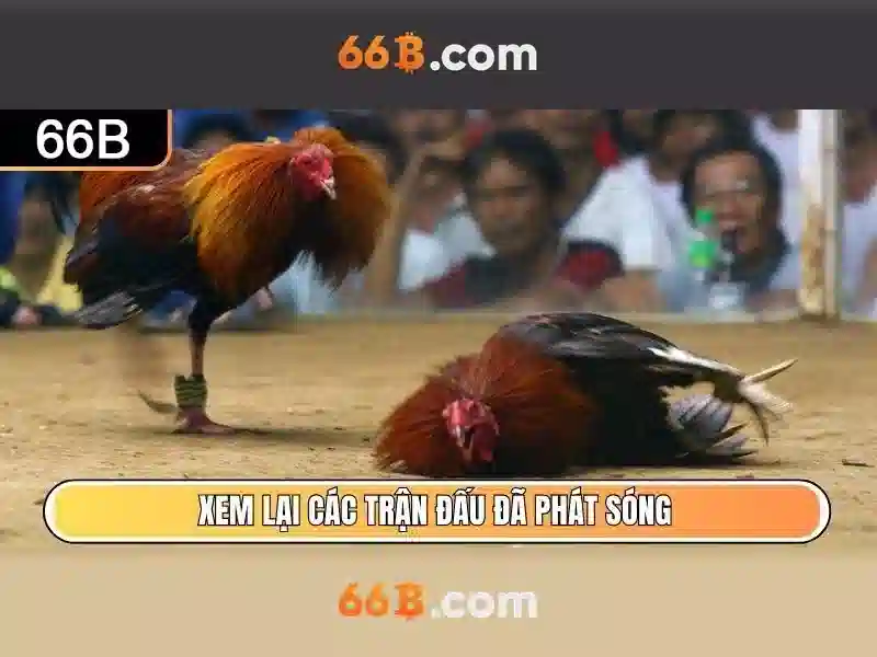 Độ lớn và đặc điểm của 66B