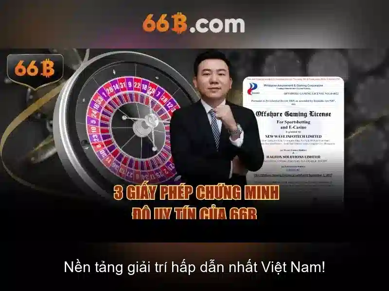 Vì sao 66B phổ biến trong nhiều hệ đo