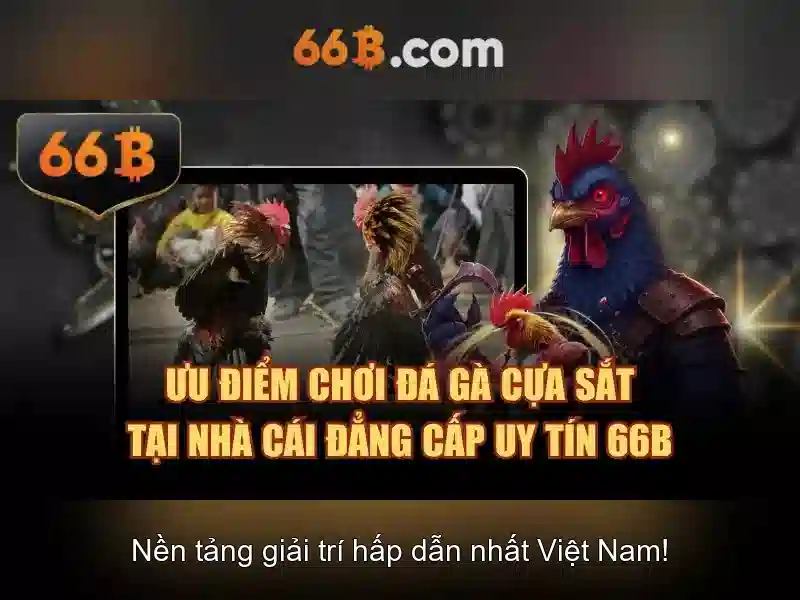66b trong công nghệ và thiết kế
