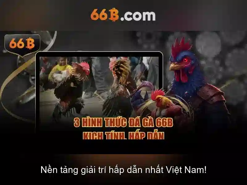 66B: một cái nhìn tổng quan