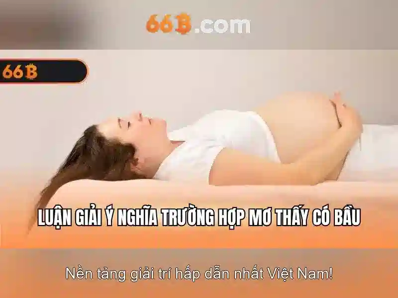 Kích thước và cơ sở dữ liệu