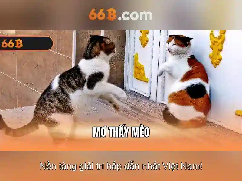 Trải nghiệm người dùng và phản hồi cộng đồng