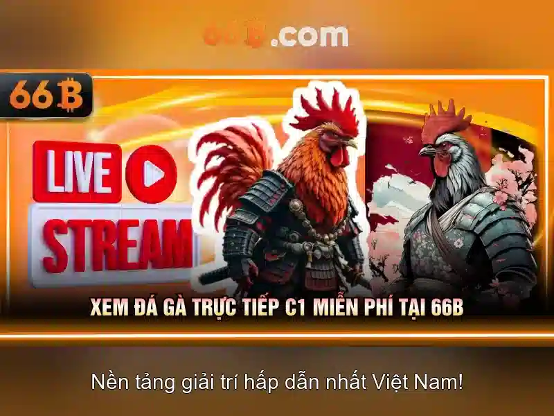 Kiến trúc và nguyên lý hoạt động của 66b