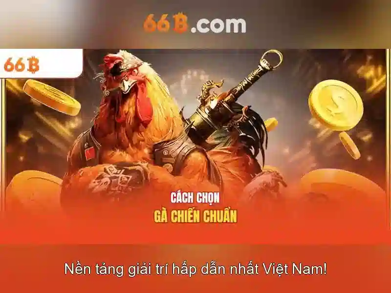 Cấu trúc và đặc điểm của 66b