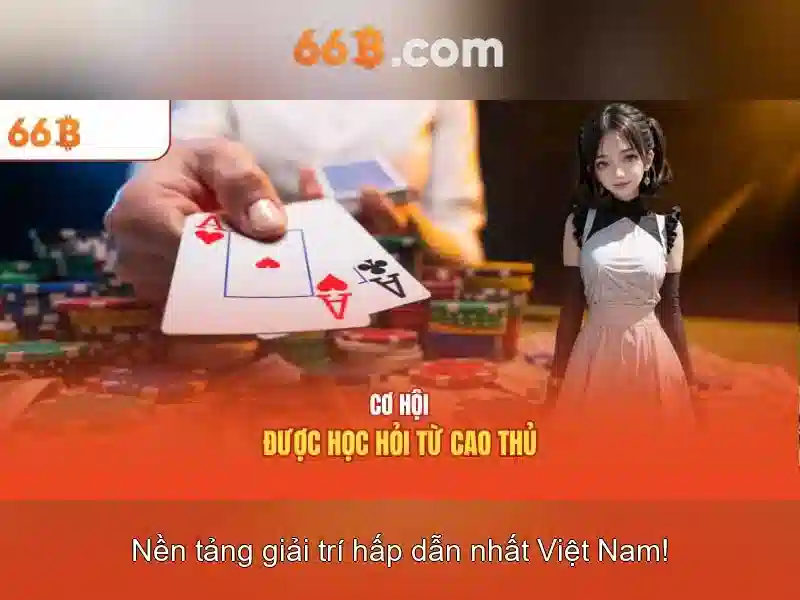 Giới thiệu về 66b\n