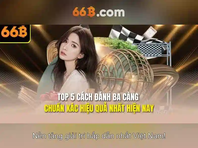 66B là gì?