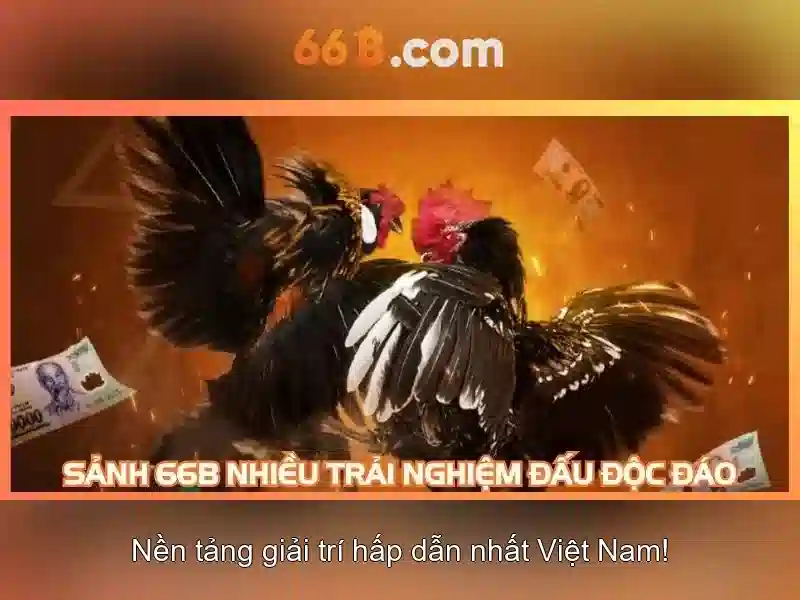Thách thức và cân nhắc