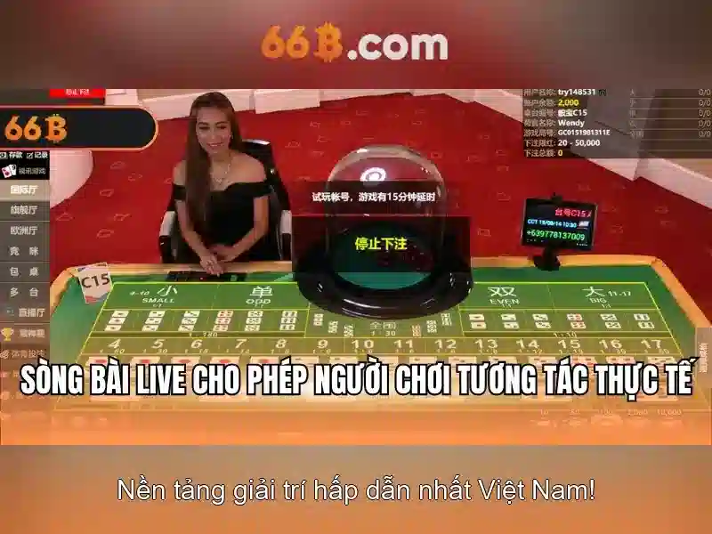 66B là gì