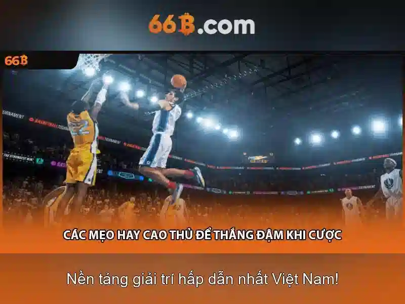 Kiến trúc và tham số