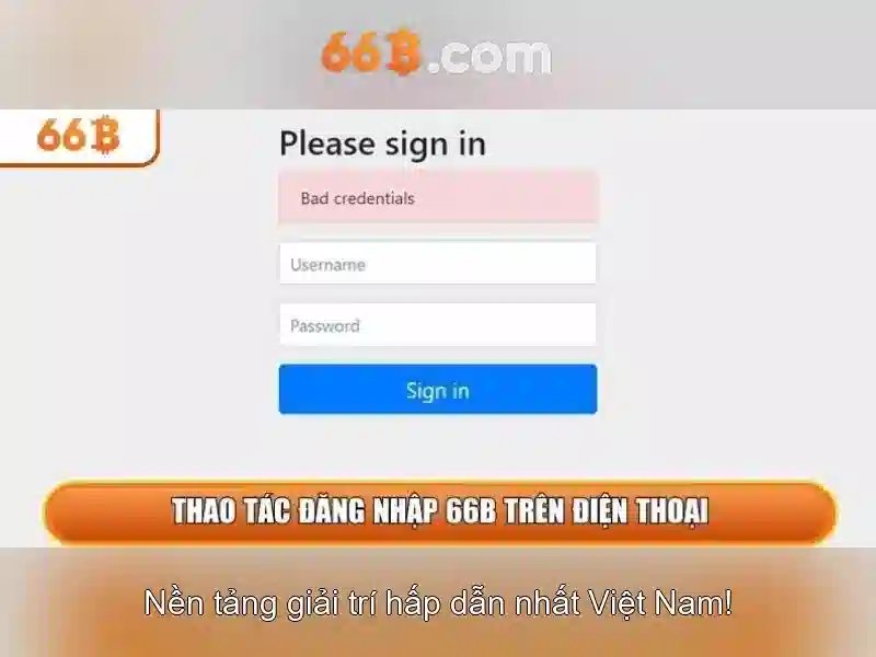 66b là gì?