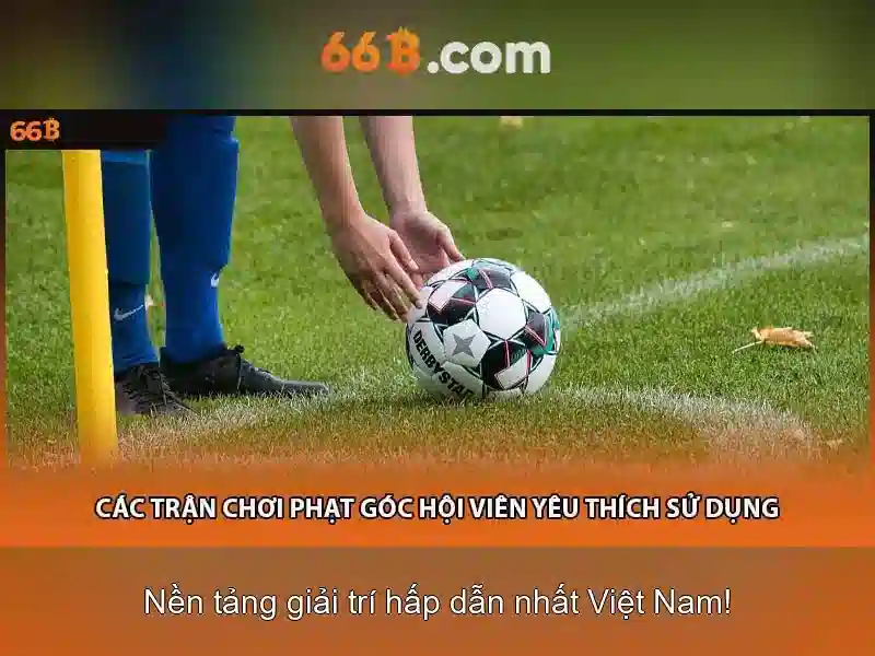 66b: một khái niệm đa chiều trong công nghệ và văn hóa