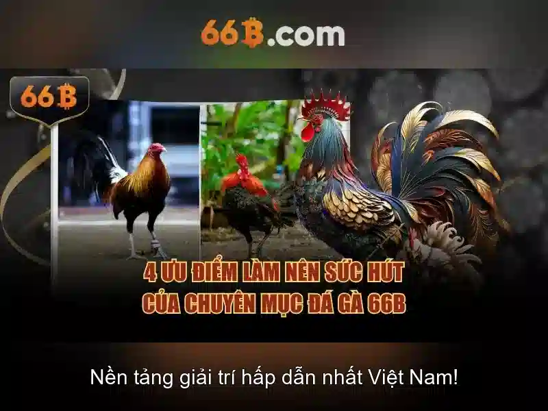 66b: Mô hình ngôn ngữ quy mô lớn cho AI
