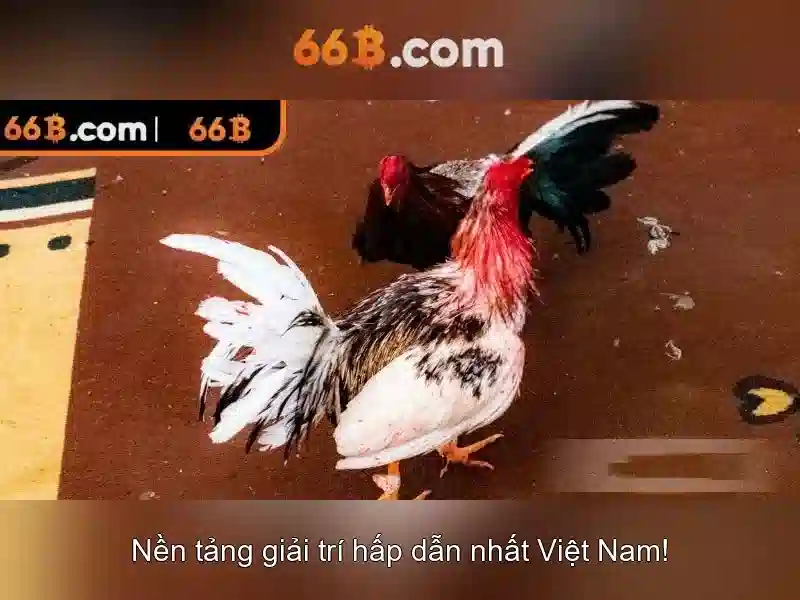 Dữ liệu và huấn luyện