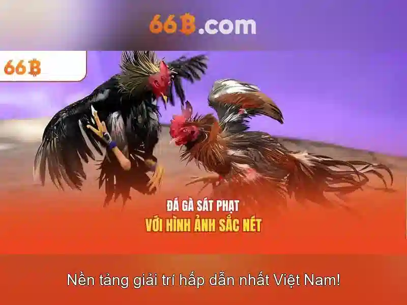 Mô hình 66B: Khám phá sức mạnh của 66 tỉ tham số