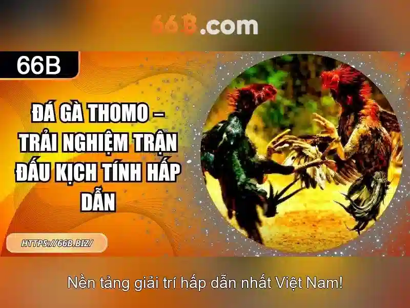 Ứng dụng trong giải đố và game