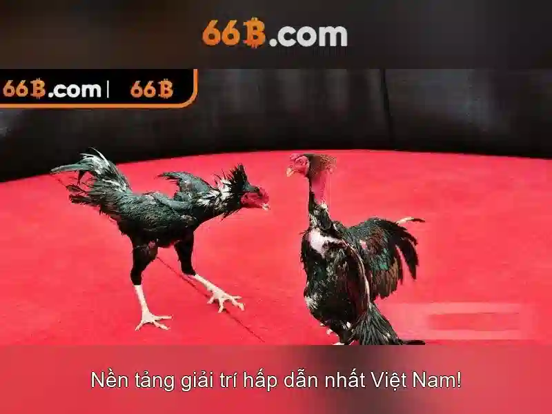 66b: Khái niệm và tiềm năng của mô hình ngôn ngữ quy mô lớn