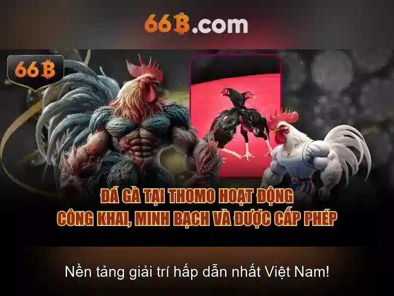 Kiến trúc tổng quan\n\n