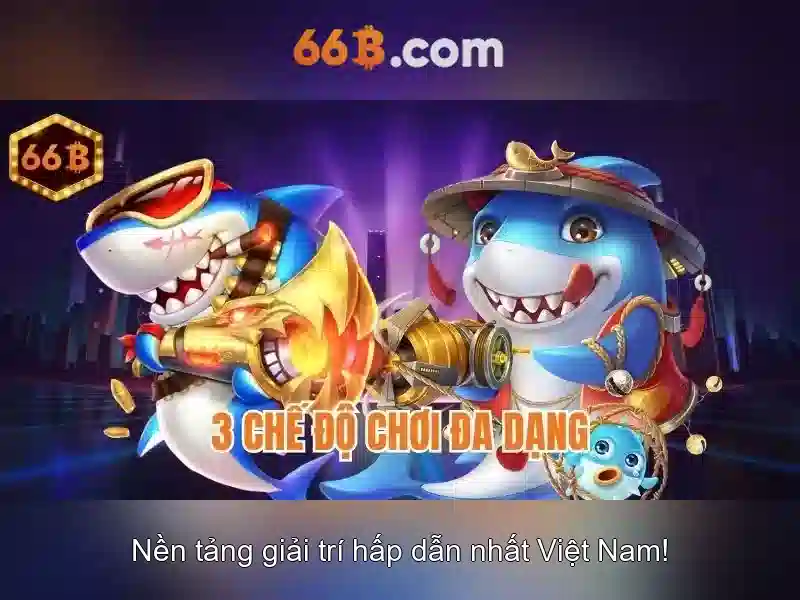 66b là gì\n\n