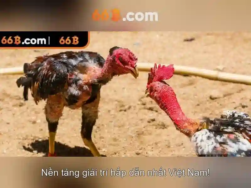 66b: Tổng quan về một mô hình ngôn ngữ lớn
