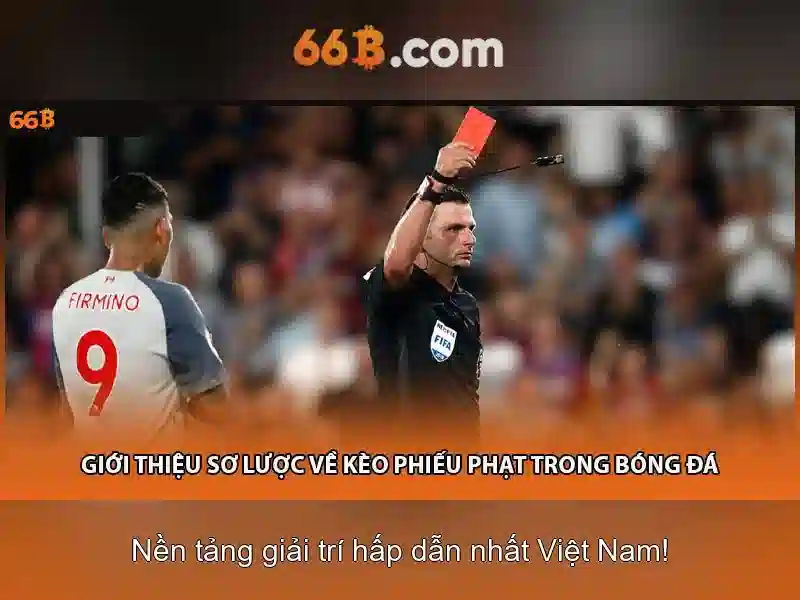 Trang chủ 66b – Sản phẩm và Dịch vụ Chính