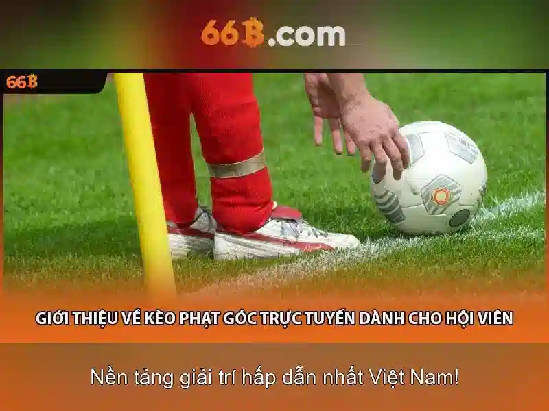 66b và văn hóa đại chúng\n