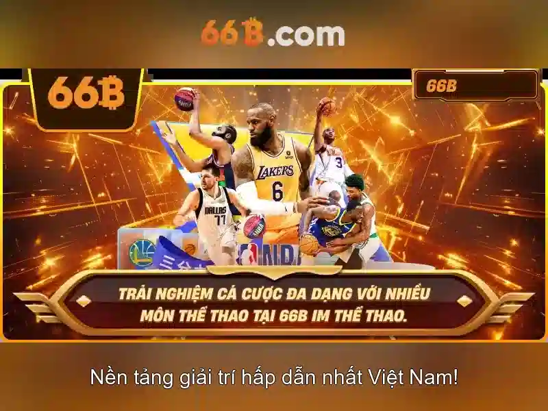 Giới thiệu về 66B\n