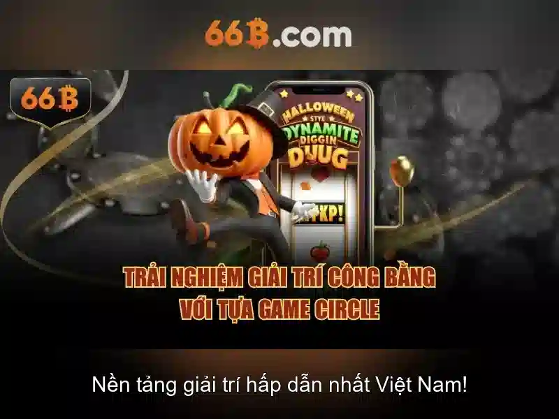 66b là gì?
