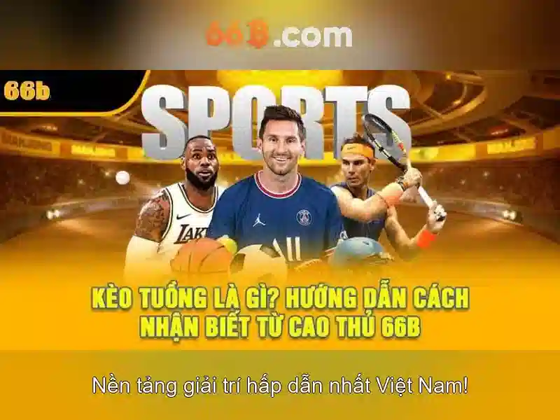 66B: Khái niệm, sức mạnh và ứng dụng